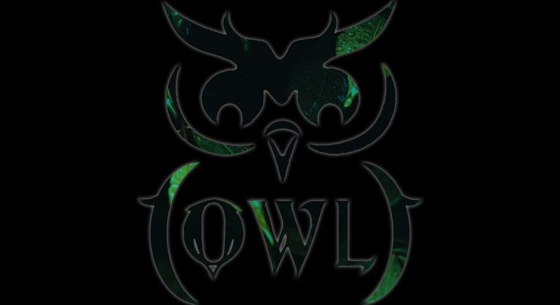 OwlAccoustic.jpg