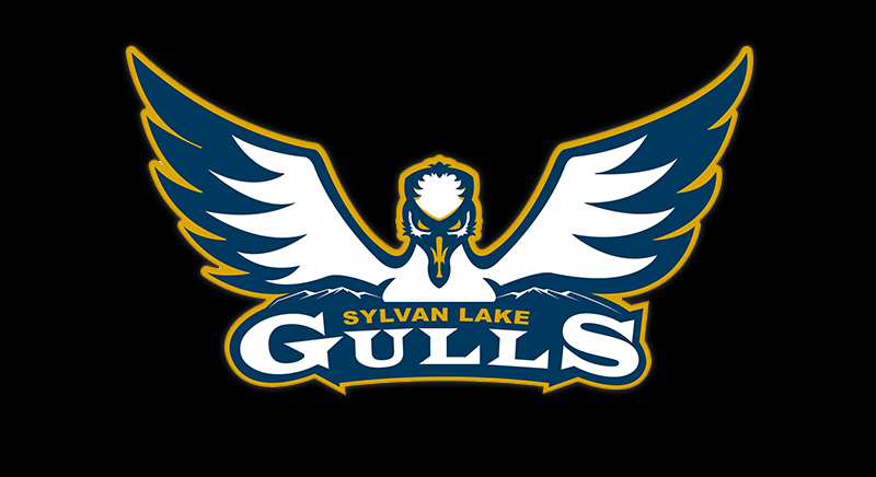 gulls.jpg